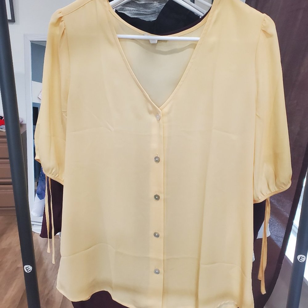 Semi-Sheer Light-Weight Blouse